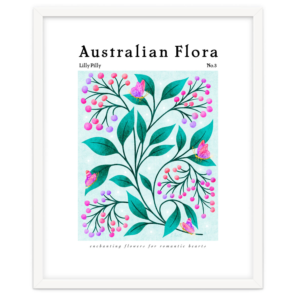 Australian Flora: Lilly Pilly