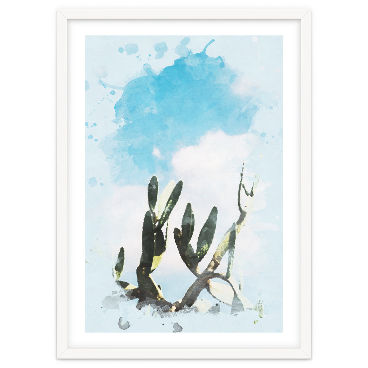 Cactus & Sky