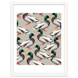 Mallards thumbnail
