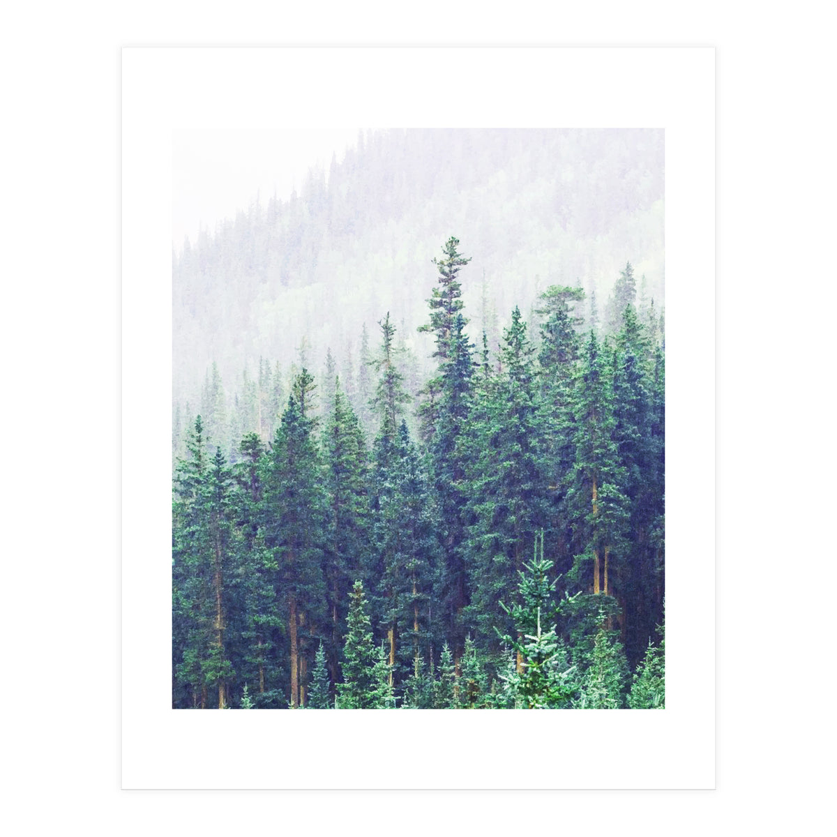 Concept & Energy (Print Only)