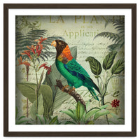 Tropical Bird Nostalgia