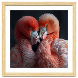 Two Flamingos Together Showing Affection thumbnail