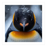 Close Up King Penguin In The Snow (Print Only) thumbnail