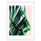 Palm V2 thumbnail