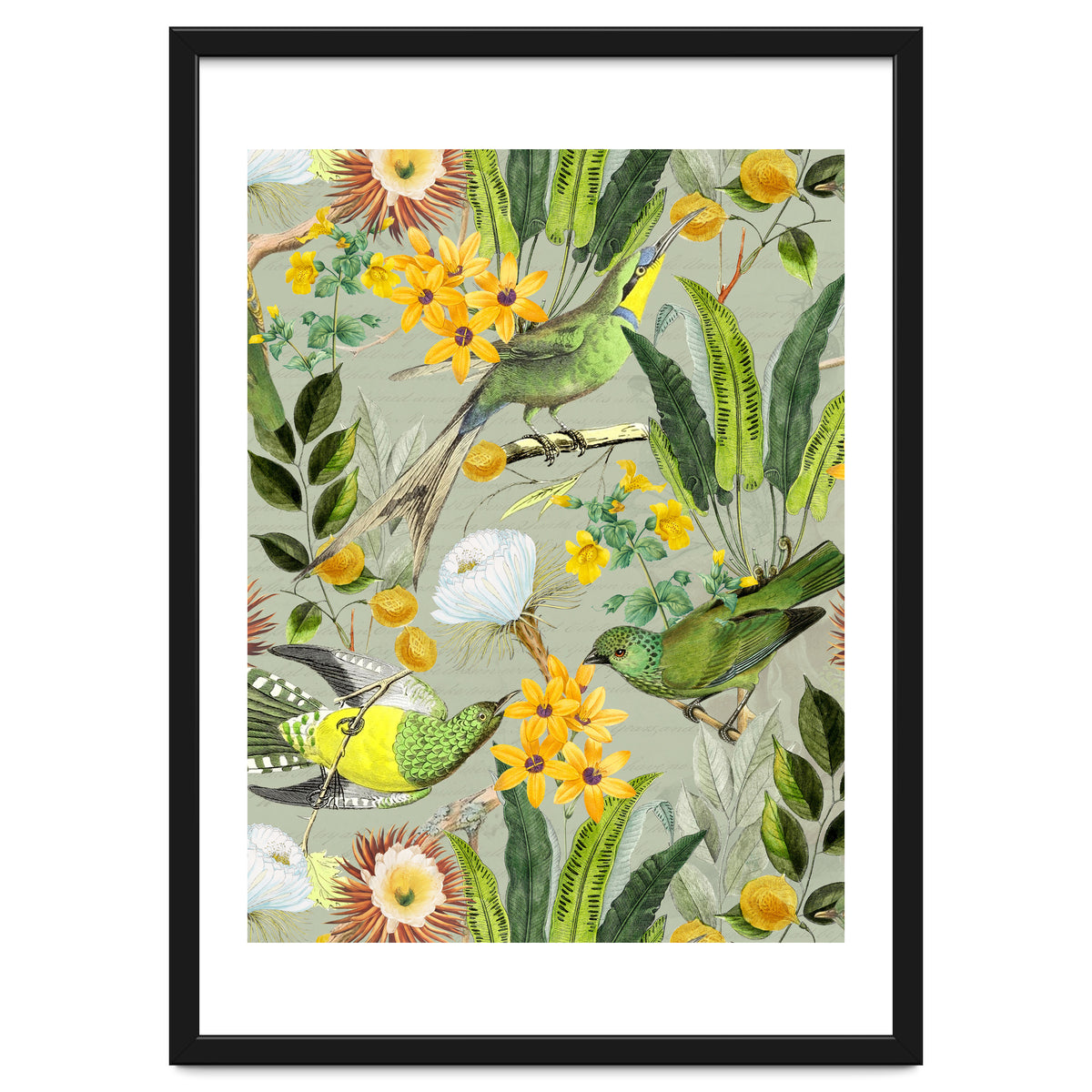 Tropical Birds in Exotic Jungle