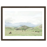 Relaxing horses on a sunny day calm field - Iceland thumbnail