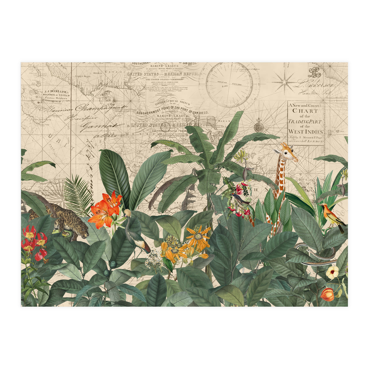 Explore The New World Wild Animals (Print Only)