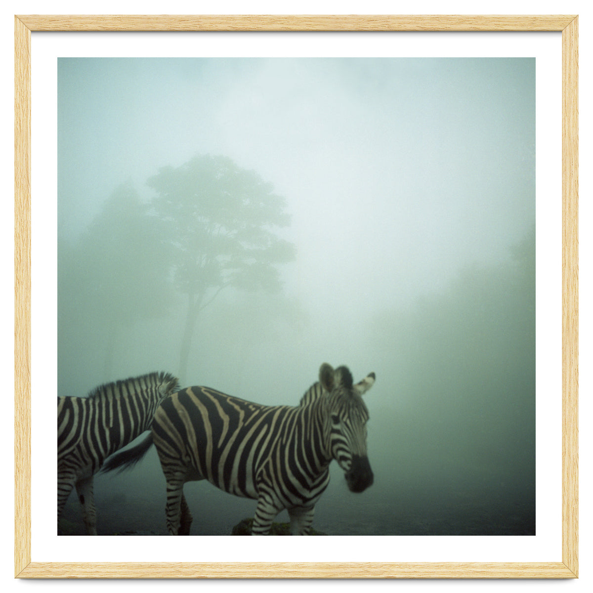 Silence of breath - 16