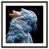 Close Up Of A Cockatoo Parrot Head thumbnail