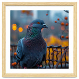 Pigeon With Water Droplets thumbnail
