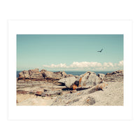 Rocky Formations (Print Only)