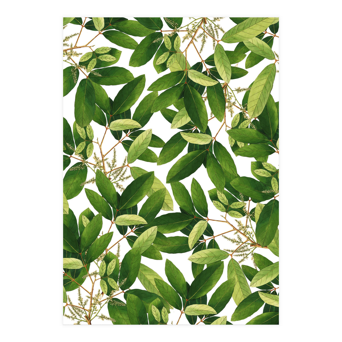 Greenery #society6 #decor #buyart (Print Only)