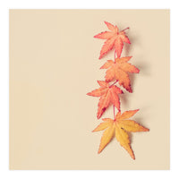 Maple In Pastel (Print Only)