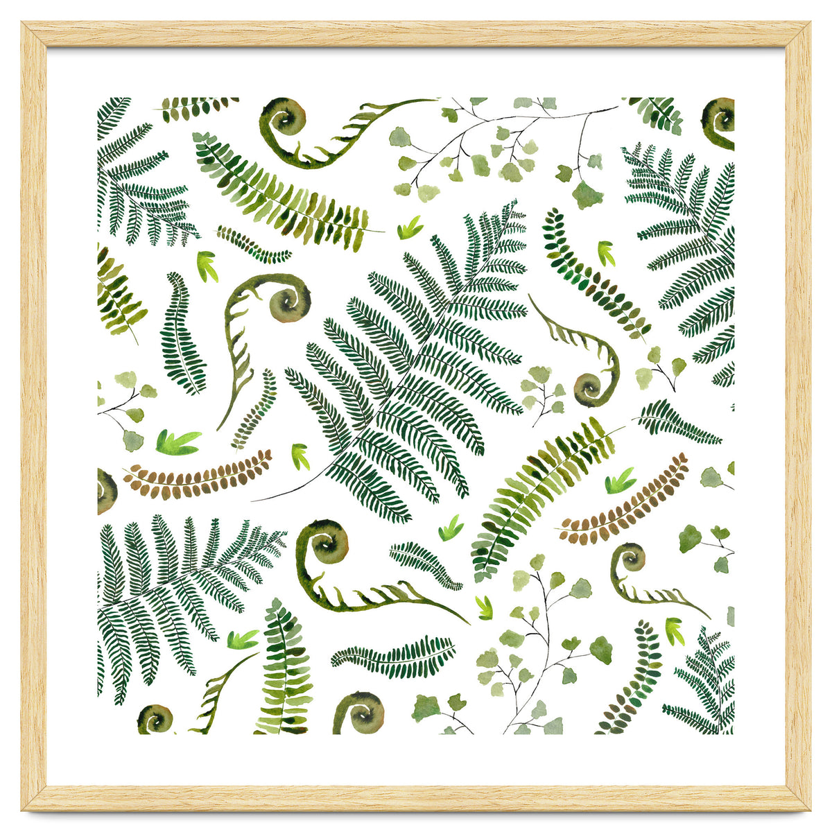 Spring Fern Pattern