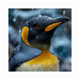 King Penguin Close Up In The Rain (Print Only) thumbnail