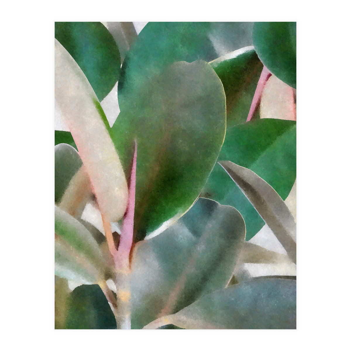 Preconceived Purity (Print Only)