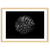 Backyard Flowers In Black And White No 68 with Border thumbnail