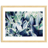 Cactus Garden thumbnail