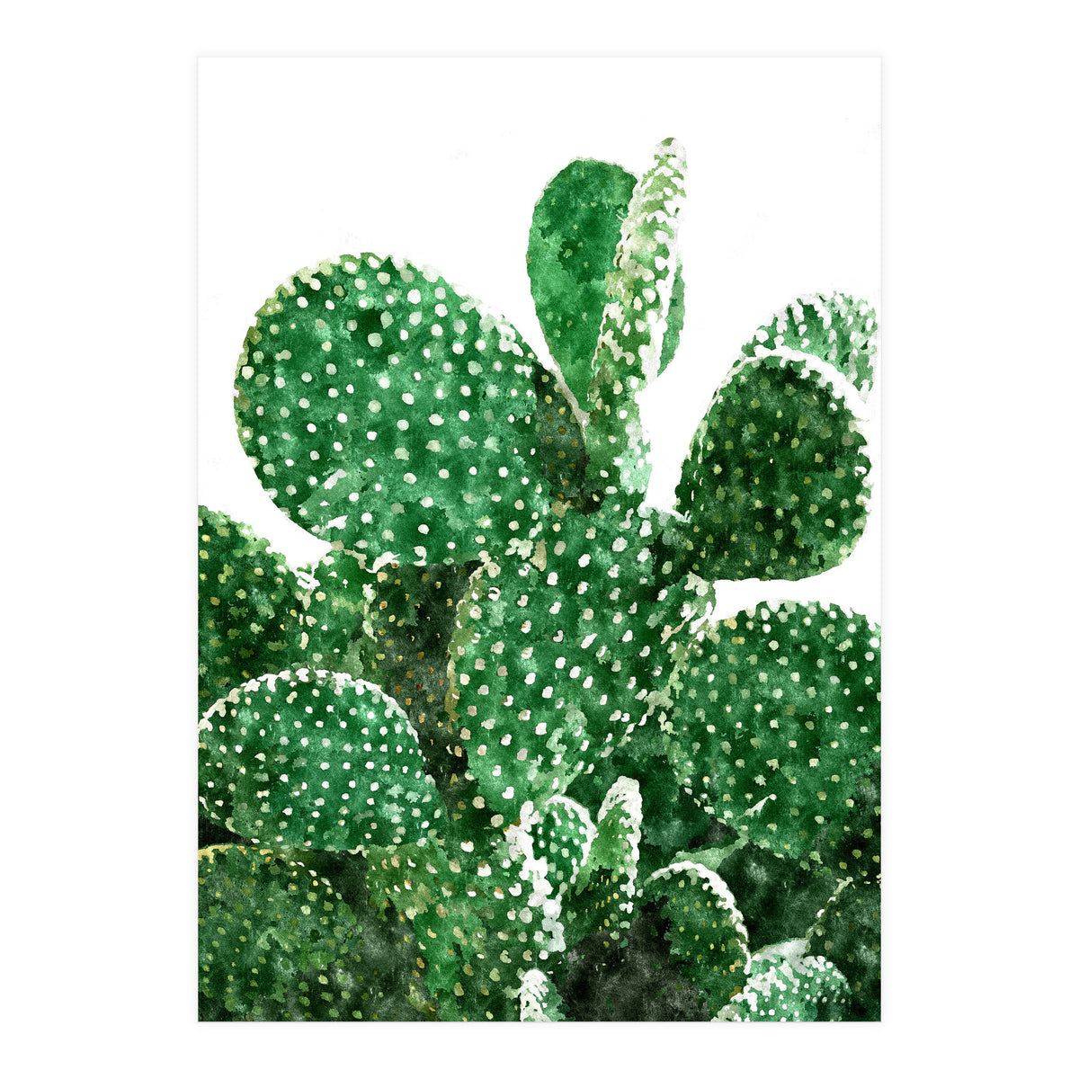 Velvet Cactus | Watercolor Botanical Plants | Minimal Boho Scandinavian Painting (Print Only)