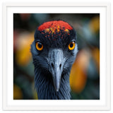 Close Up Of A Strikingly Beautiful Bird Face thumbnail