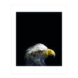 What It A Dream (Print Only) thumbnail