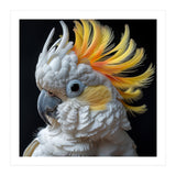 White Cockatoo With Yellow Crest Portrait (Print Only) thumbnail