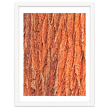 Tree Bark thumbnail