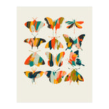 Colorful Butterflies (Print Only) thumbnail