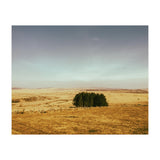 Dartmoor 2018 (Print Only) thumbnail