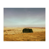 Dartmoor 2018 (Print Only)