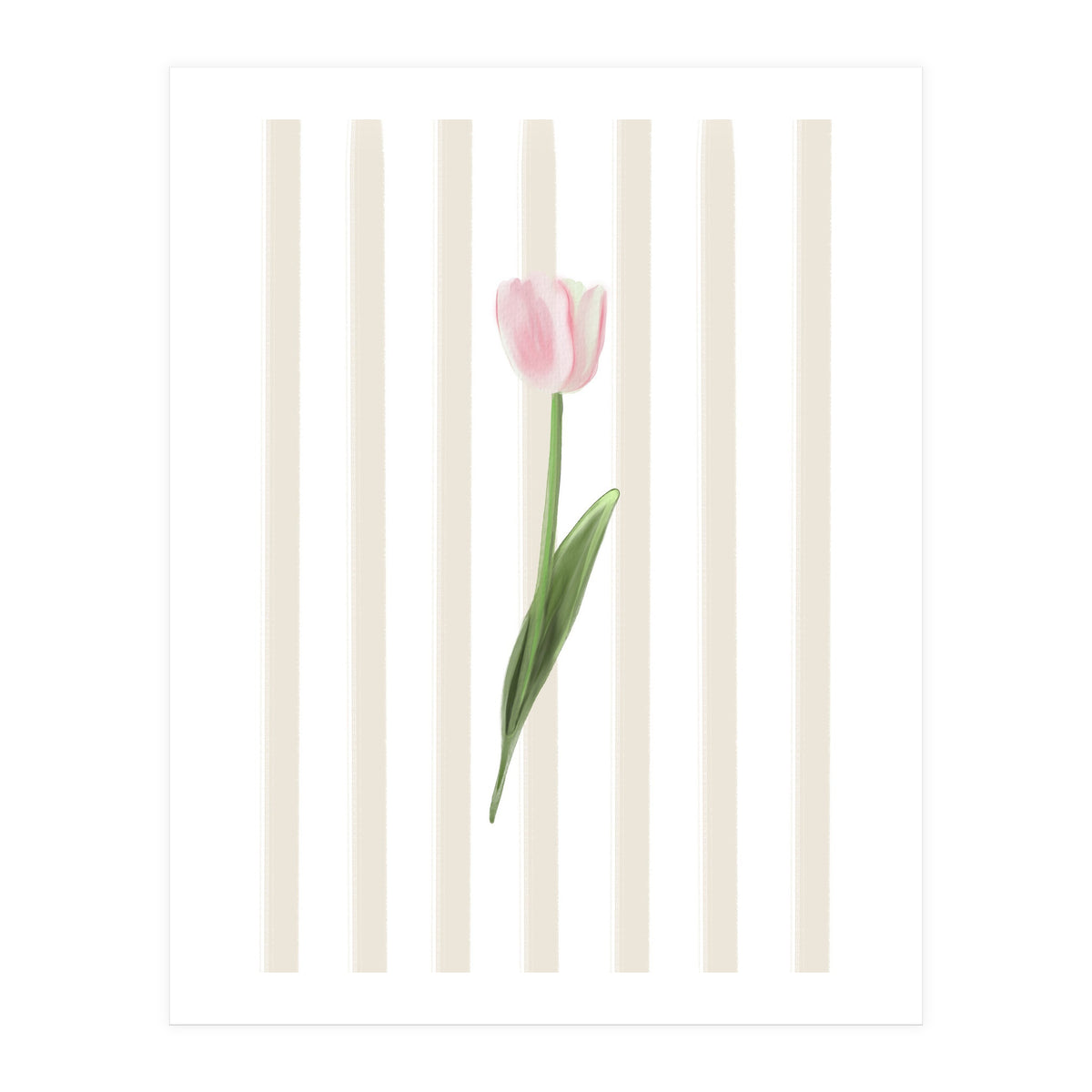 Single Tulip (Print Only)