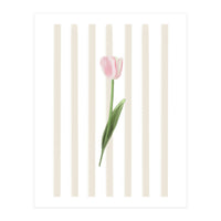Single Tulip (Print Only)
