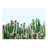 Blush Cactus #society6 #decor #buyart (Print Only) thumbnail
