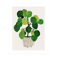 Pilea Plant (Print Only)