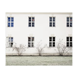 Small trees in between the windows  (Print Only) thumbnail