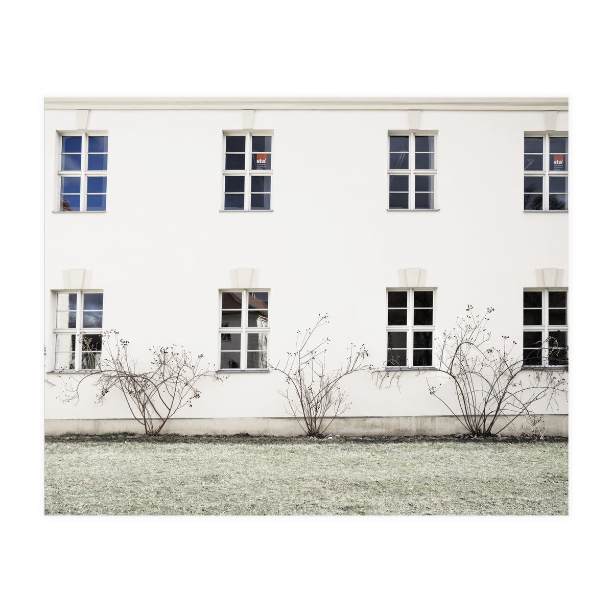 Small trees in between the windows  (Print Only)