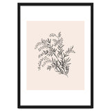 Acacia Botanical illustration thumbnail