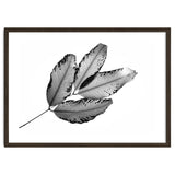 Branches and Leaves, 2016, 1 thumbnail
