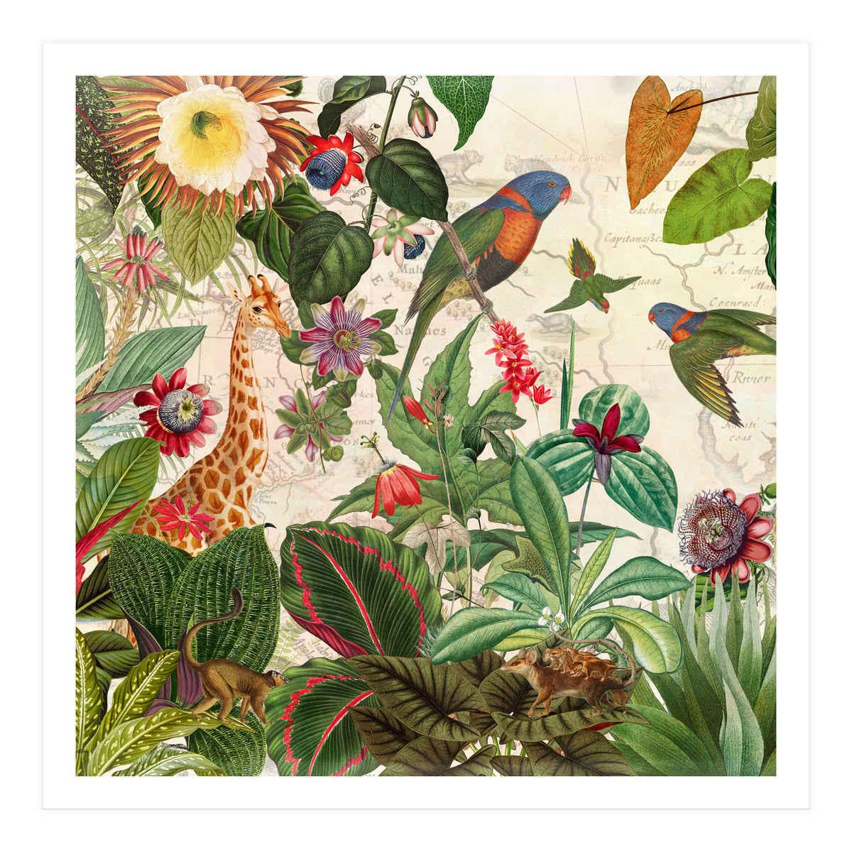 Exotic Lush Jungle And Wild Animals Landscape (Print Only)