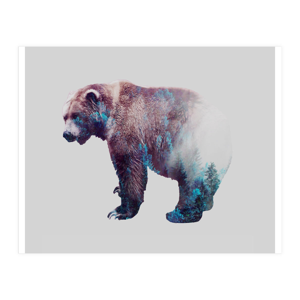 Repressed Transformation (Print Only)