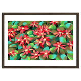 Red flowers thumbnail