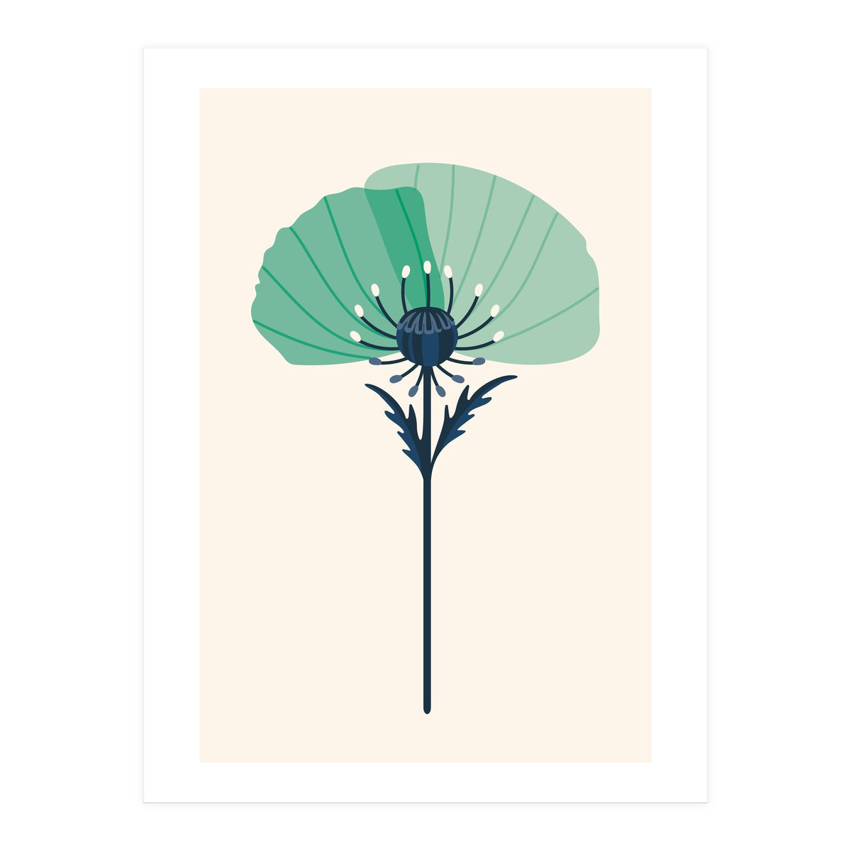 Teal Half Poppy (Print Only)