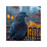Pigeon With Water Droplets  (Print Only) thumbnail
