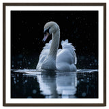 Majestic Swan Swimming In Dark Water thumbnail