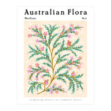 Australian Flora: Wax Flower (Print Only) thumbnail