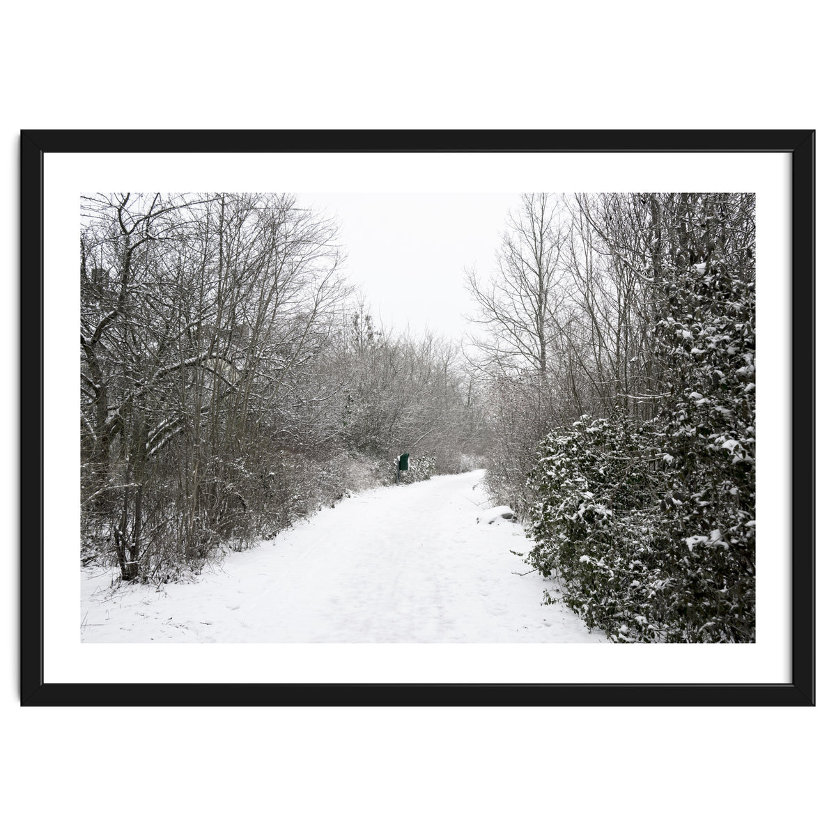 Walking through the snow park