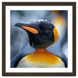 King Penguin In Falling Snow thumbnail