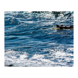 Forward (Print Only) thumbnail