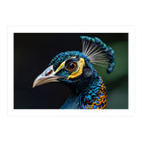 Close-up of a Peacock’s Head (Print Only) thumbnail