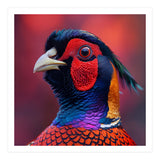 Close Up Pheasant Bird Head Detailed Feathers (Print Only) thumbnail